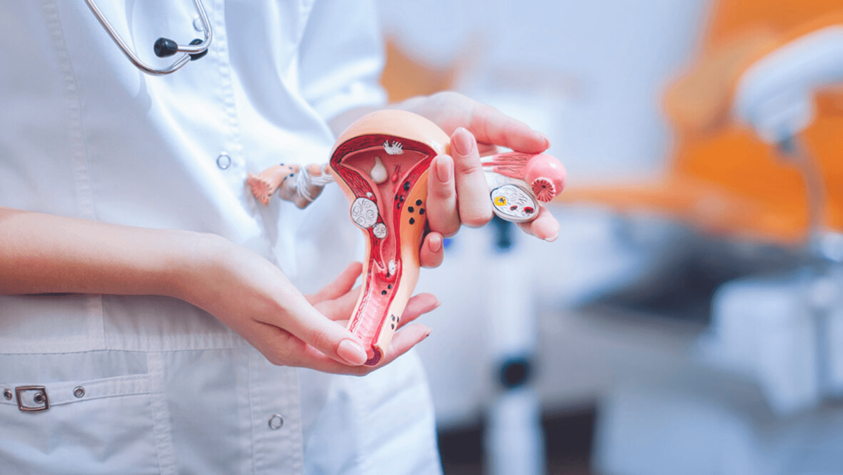 Медицина Акушерство