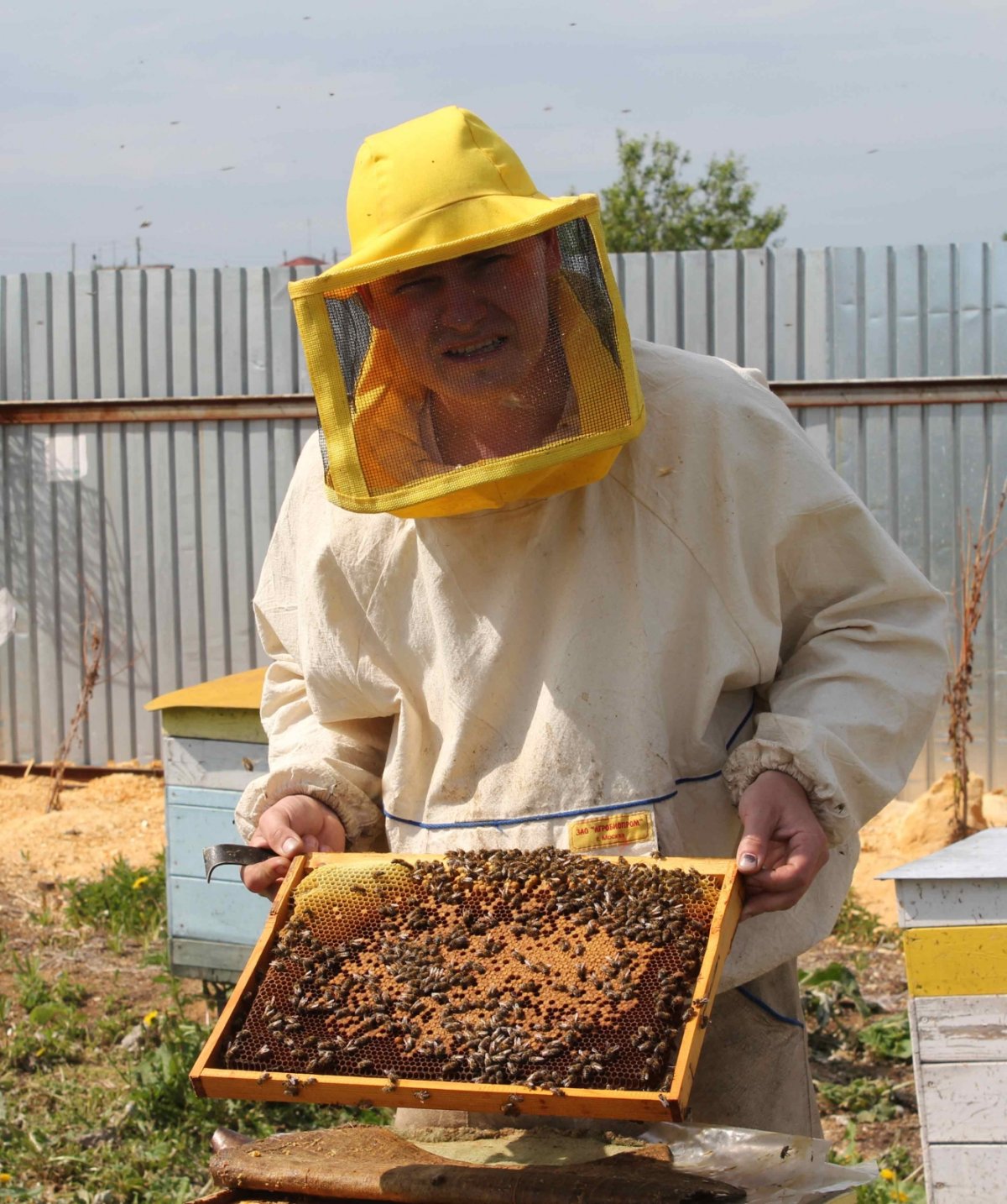 Пасечник пчеловод