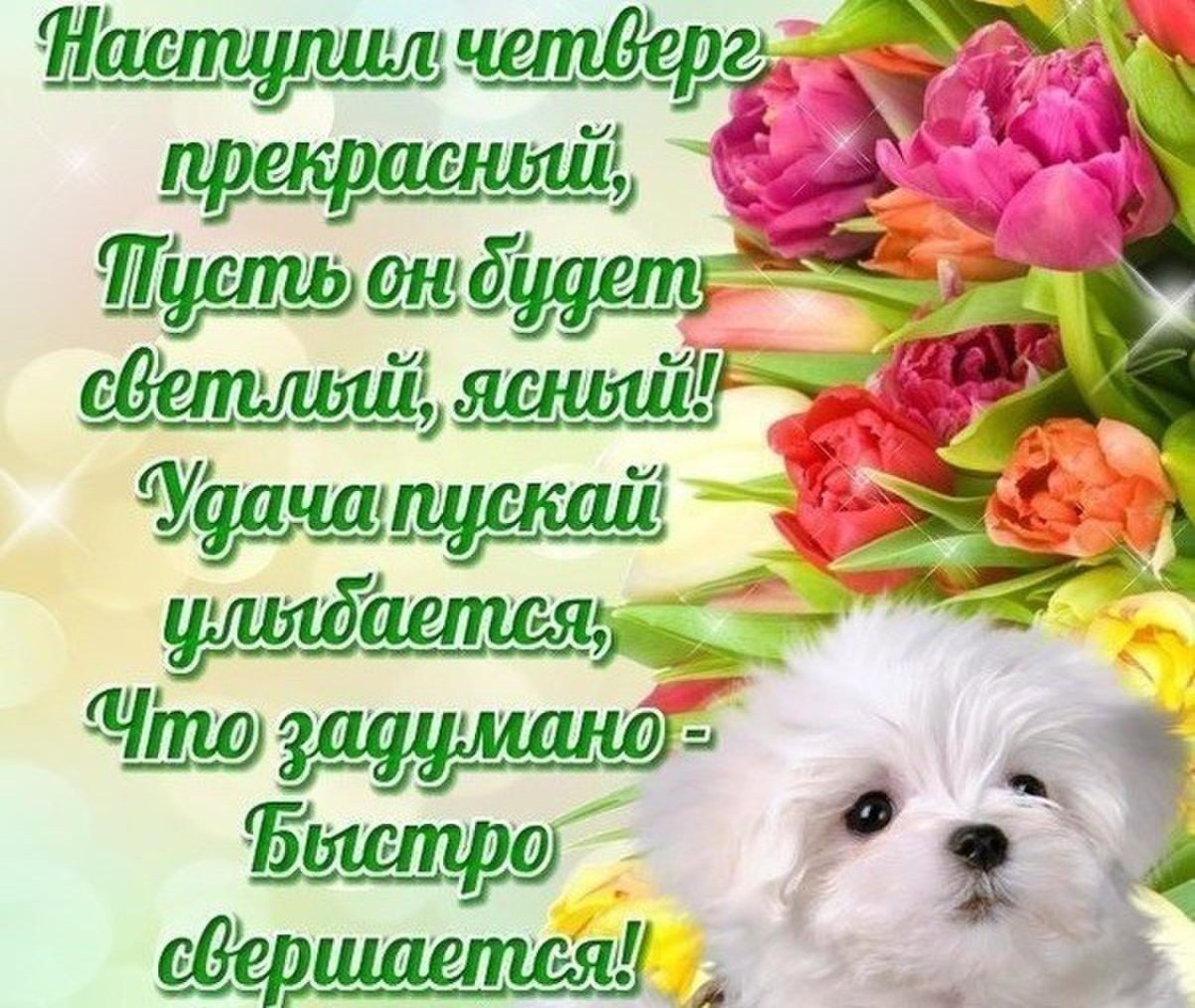 Пожелания хорошего четверга