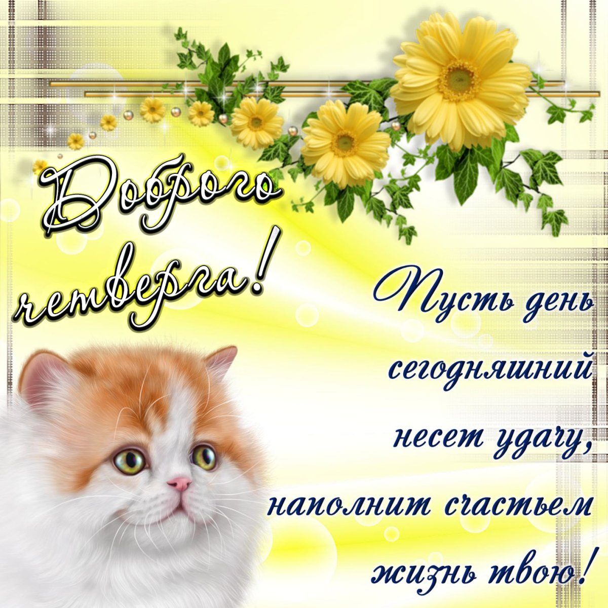 Открытки отличного четверга