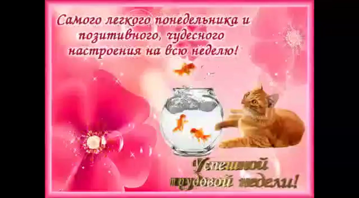 Дни недели обои