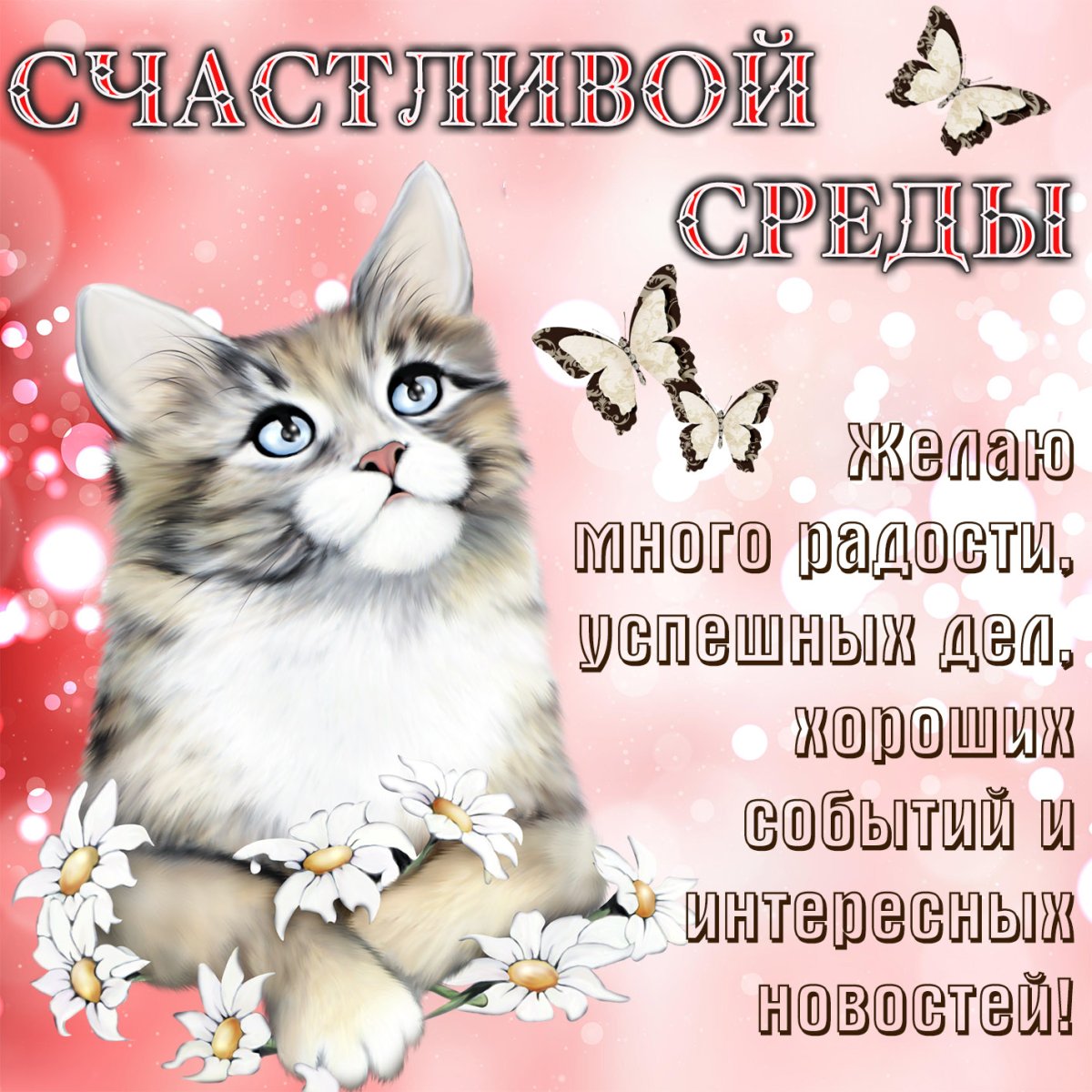 Открытки со средой