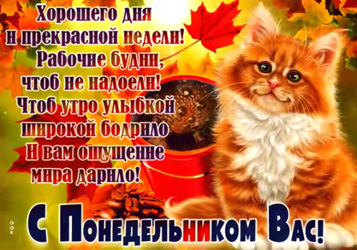 Я учу дни недели