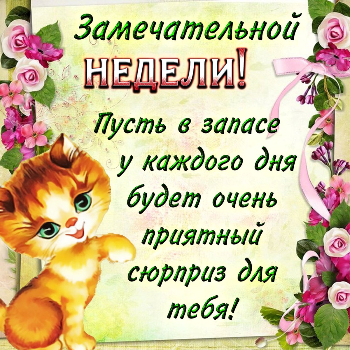 Смешные пожелания доброго дня