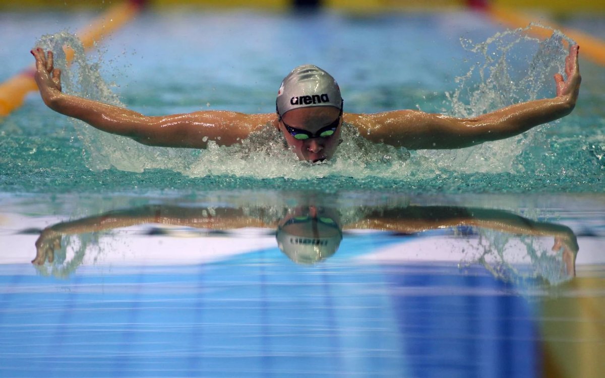 Плавание баттерфляем Никита Кислов