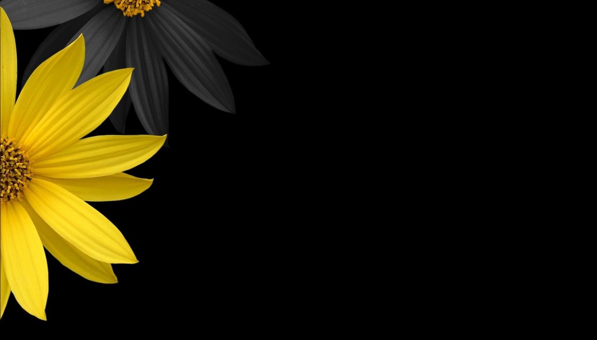 Картинки на рабочий стол на черном фоне