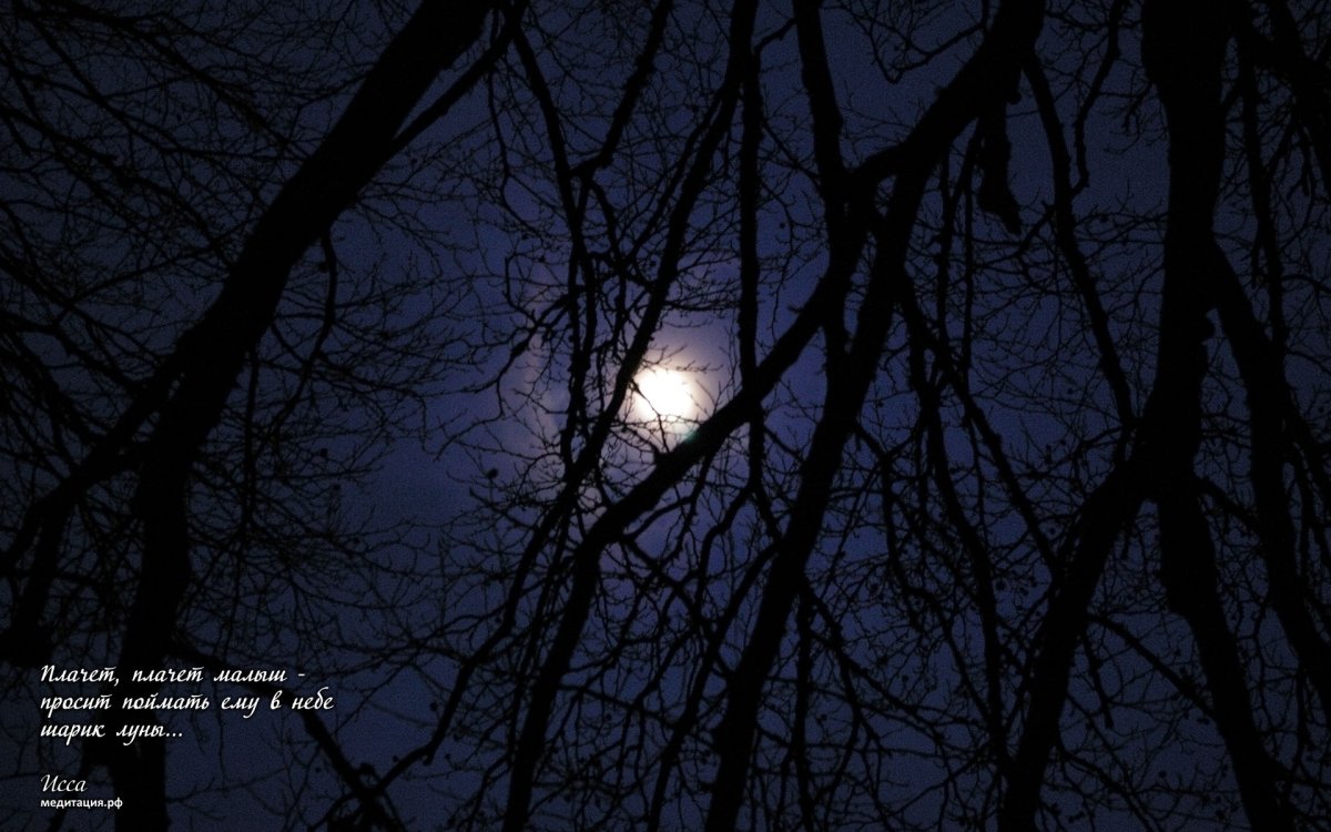 Тёмной, тёмной ночью