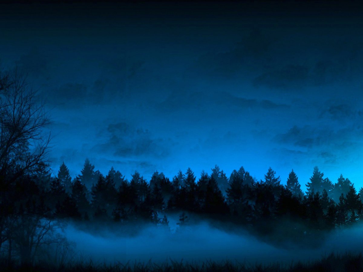 Темная ночь