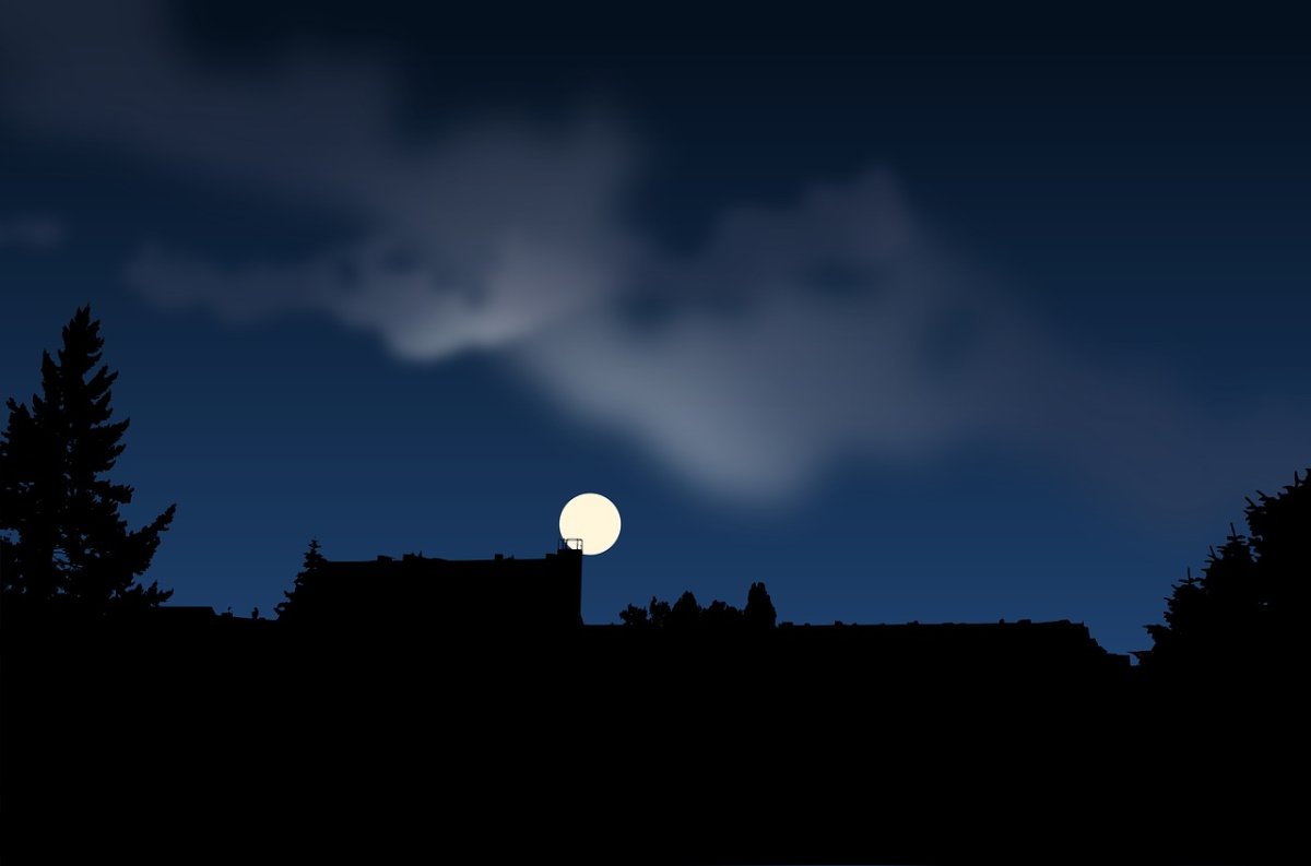 Темная ночь