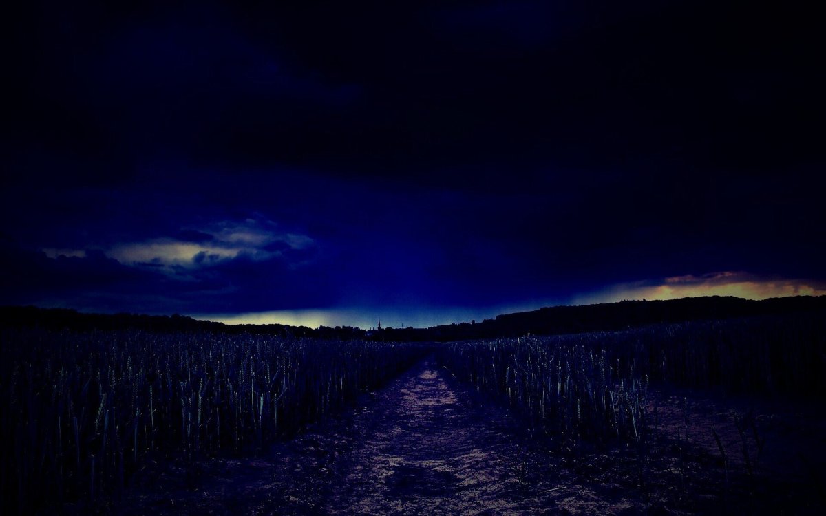 Темное поле