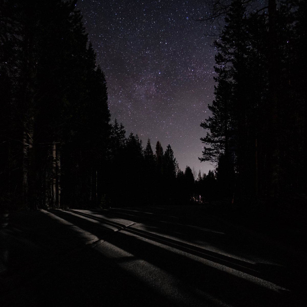 Ночь дом звезды