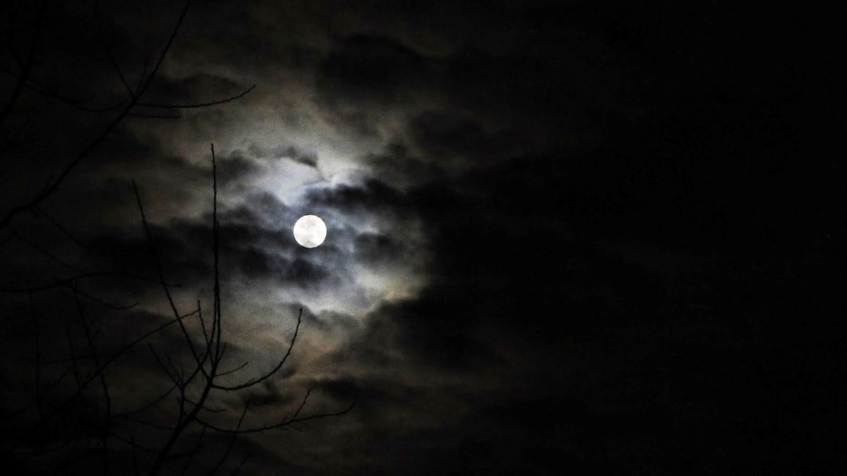 Картина 5 класс на тему ночь темная