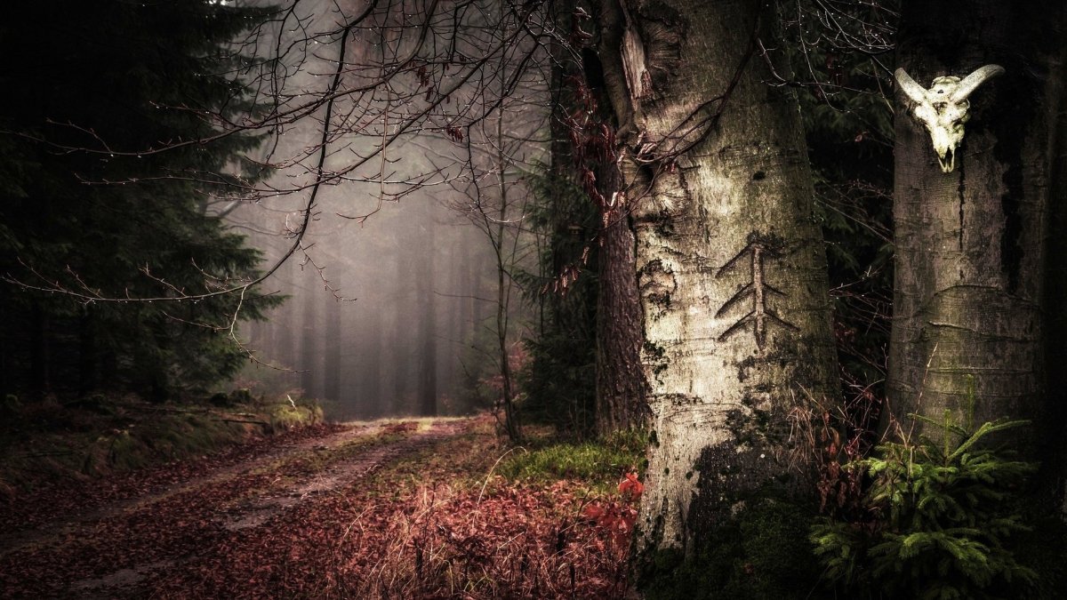 Мрачный пейзаж