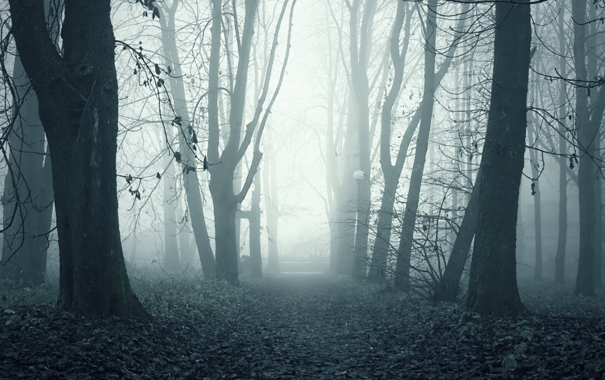 Мрачные обои на телефон