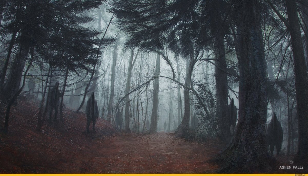 Темный лес Геншин