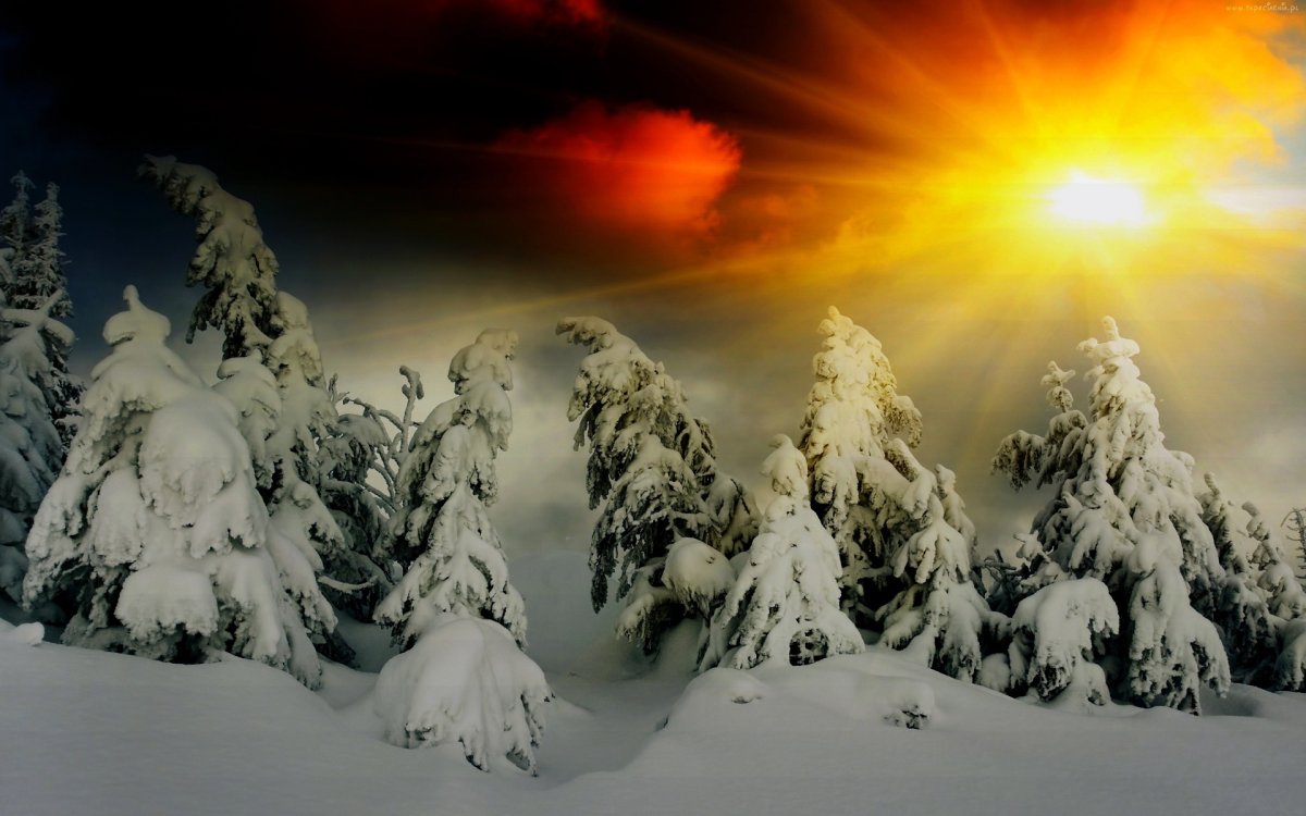 Обои на телефон зима