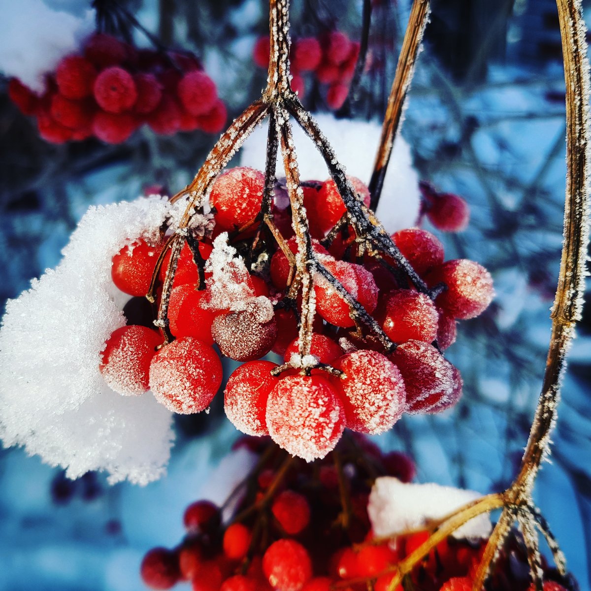 Обои на телефон снег