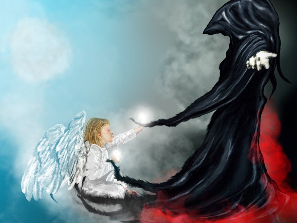 Черный волк