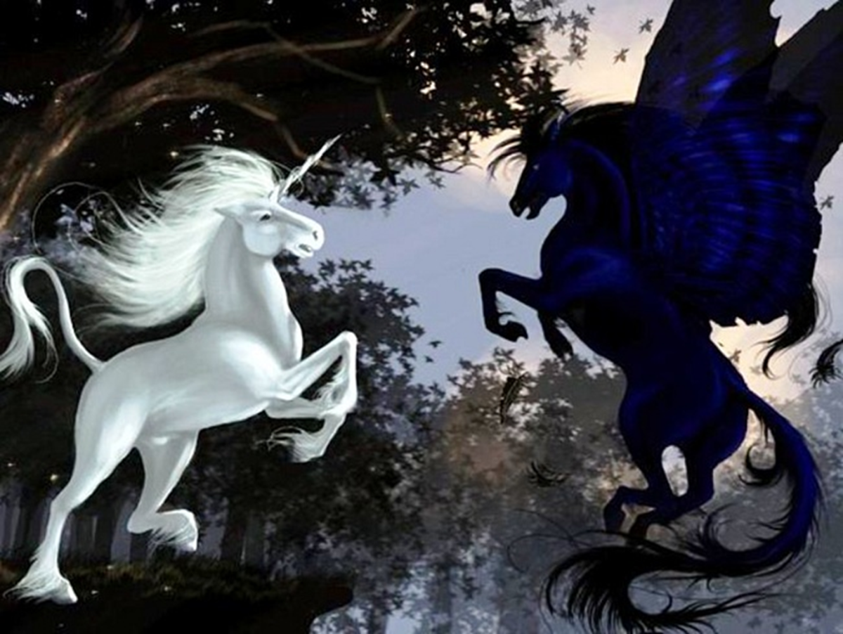 Между светом и тьмой