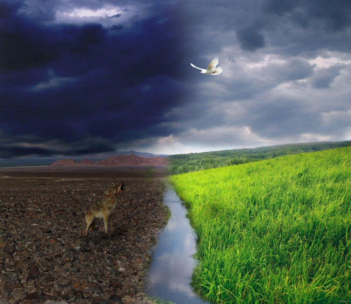 Борьба добра и зла