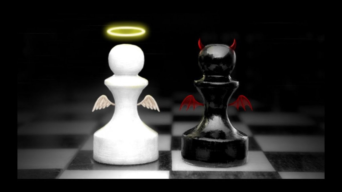 Длиннокот Нобико