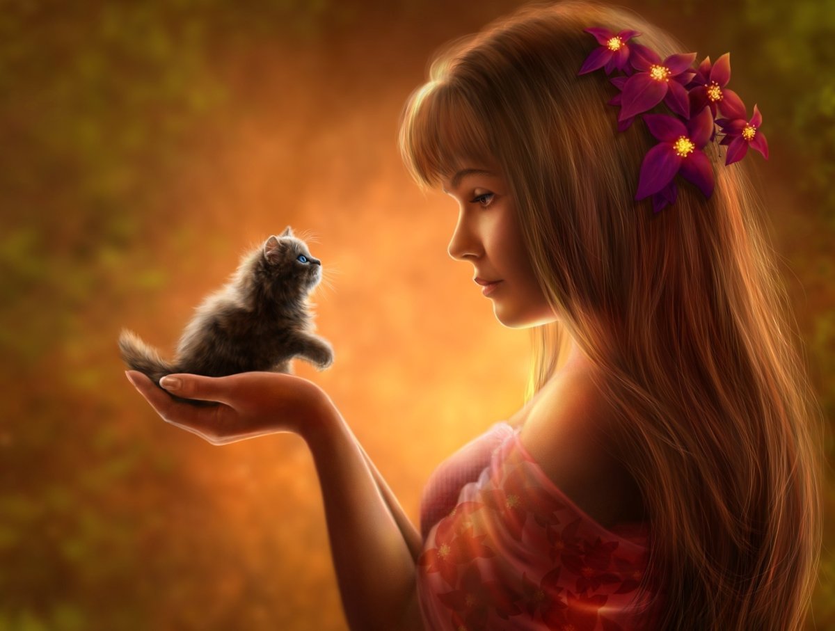 Кошка с хозяйкой