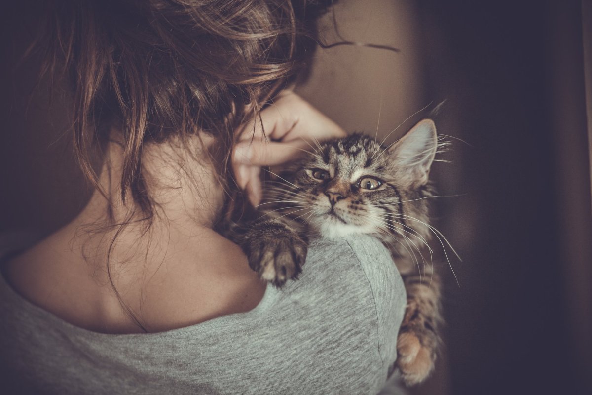Девушка с котом
