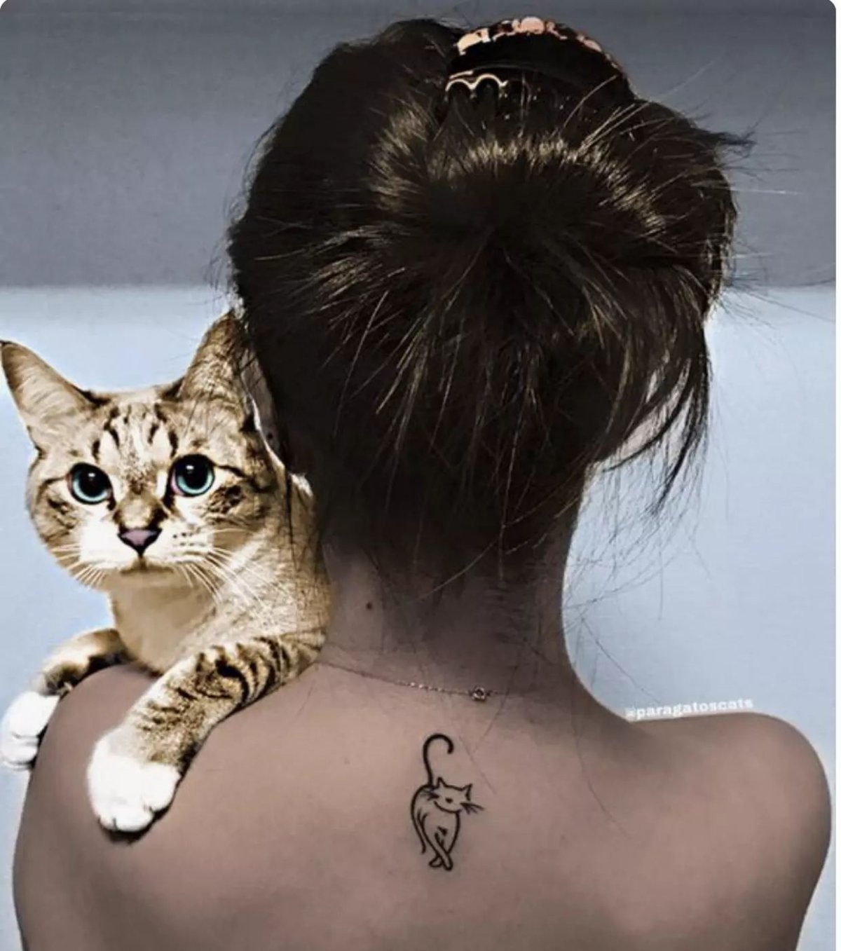 Девушка с котом