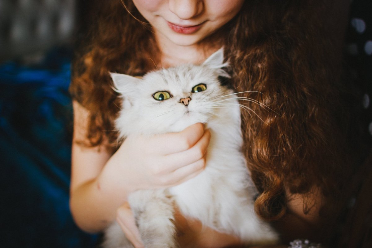 Красивая девушка с котом