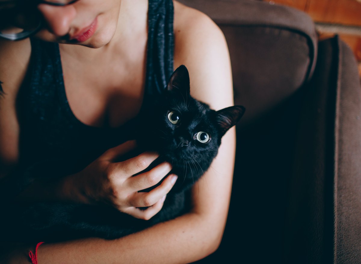 Девушка с котом