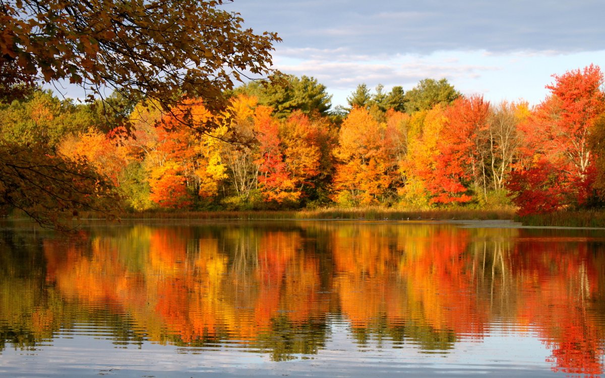 Природа осенью