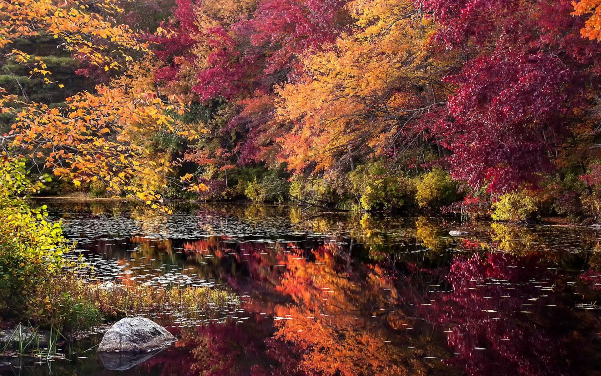 Природа осень