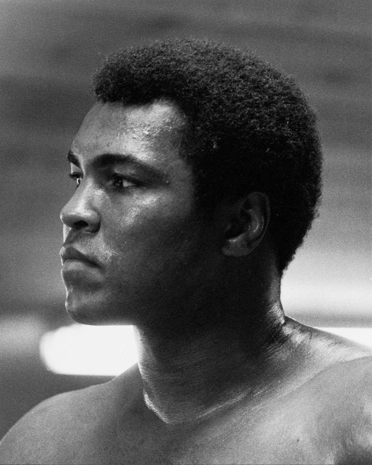 Муха в дали