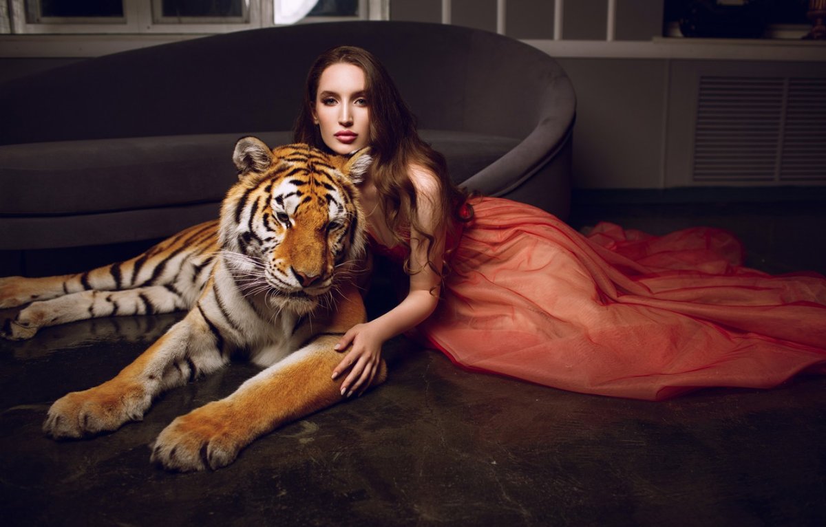 Тигр и девушка