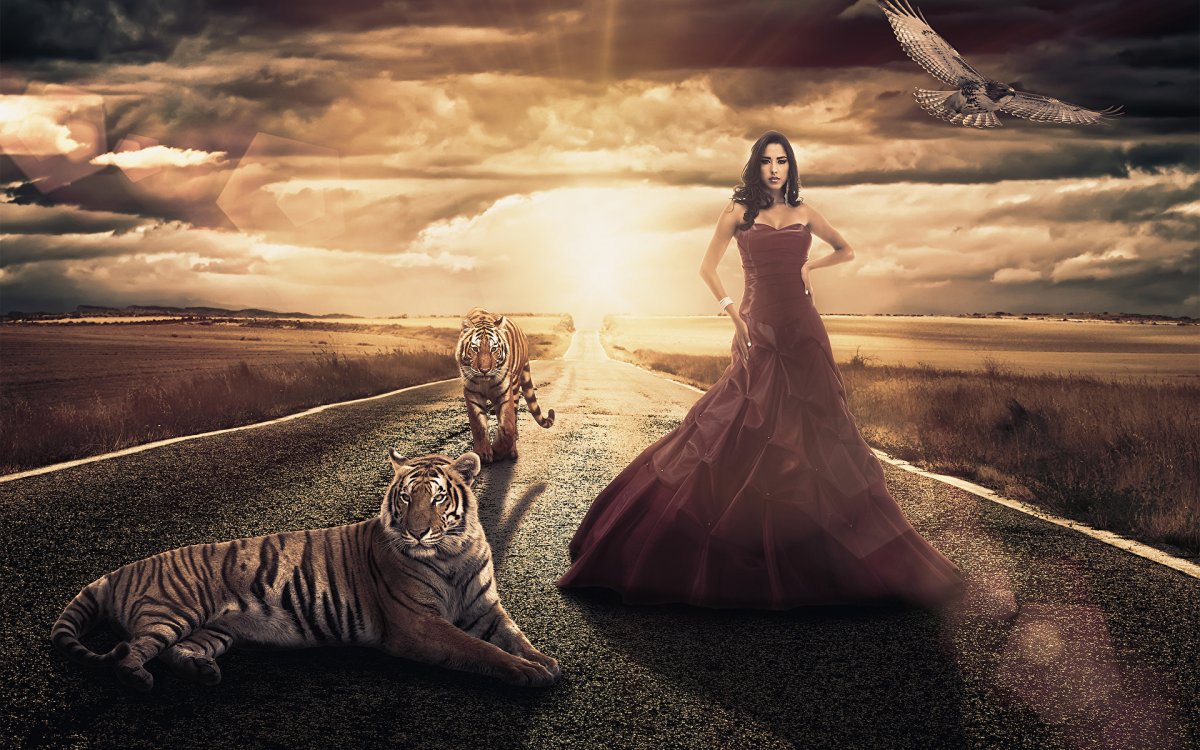 Тигр и девушка