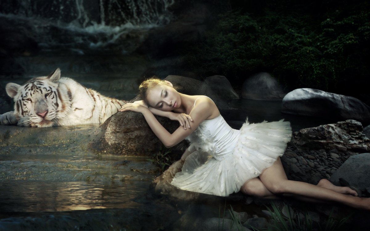 Фотосессия с тигром