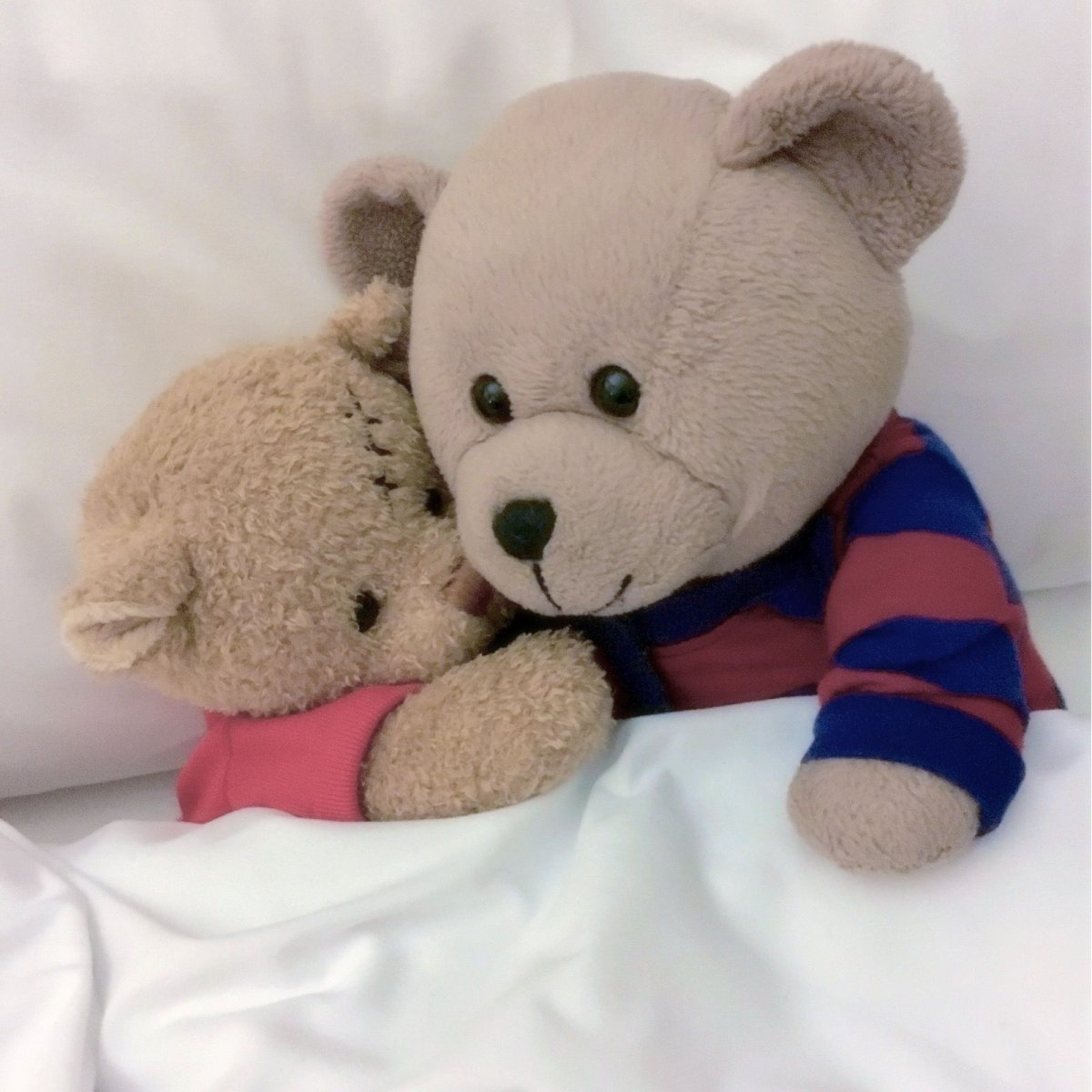 Медвежонок Чиба