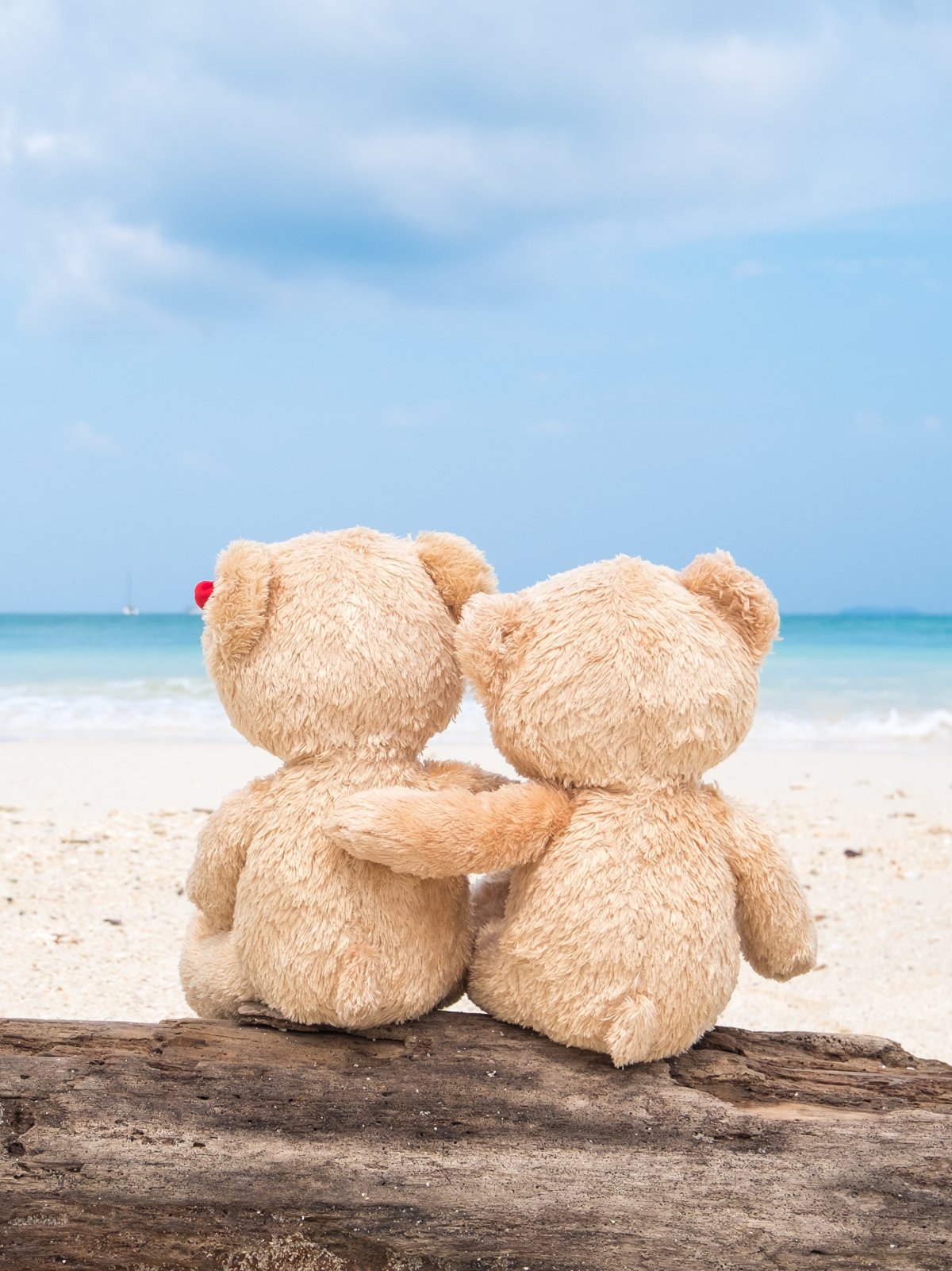 Мишки обнимашки