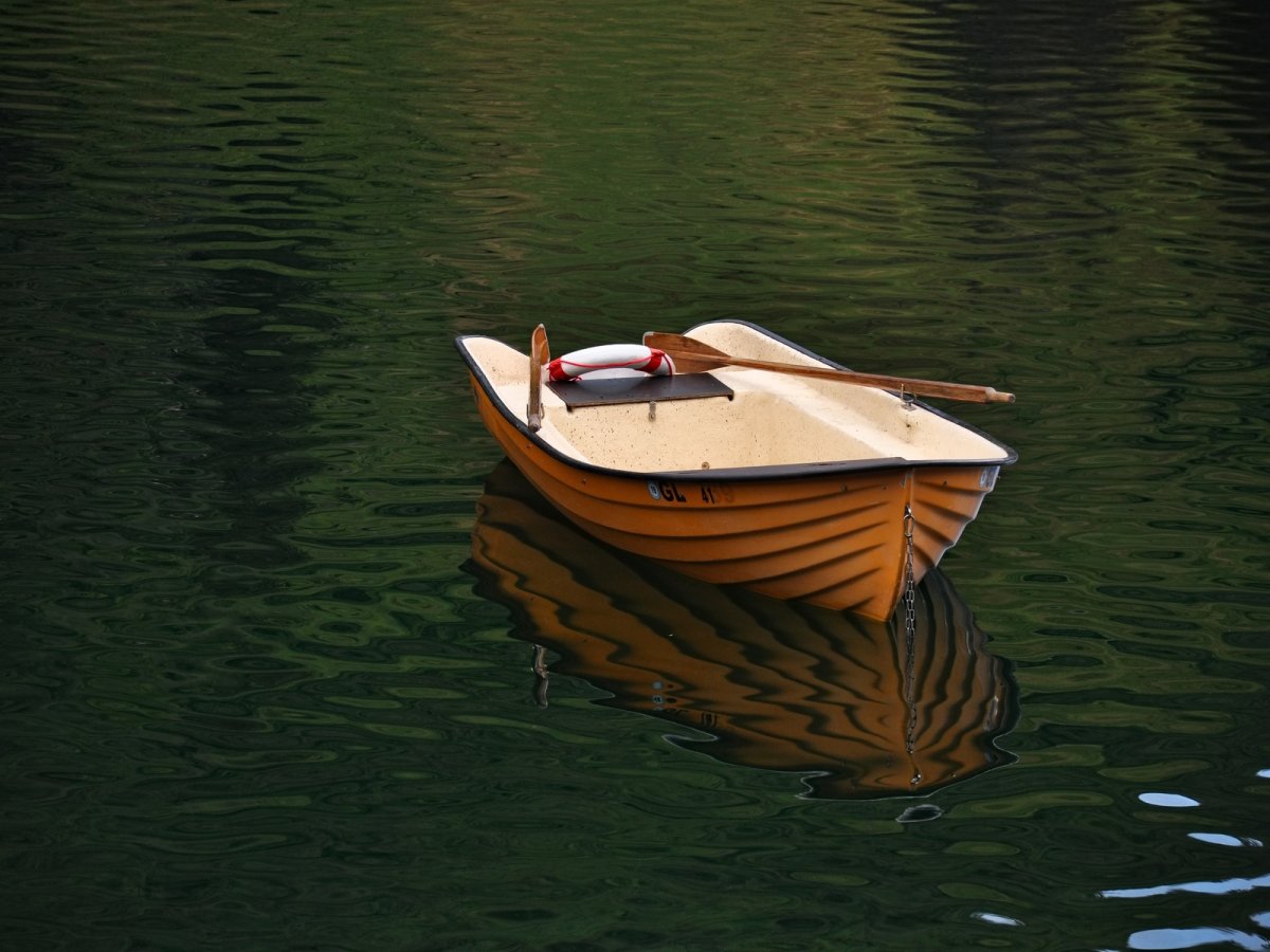 Гребные лодки на воде