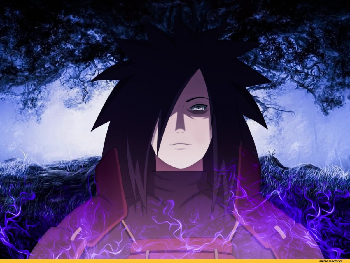 Мадара взрослый