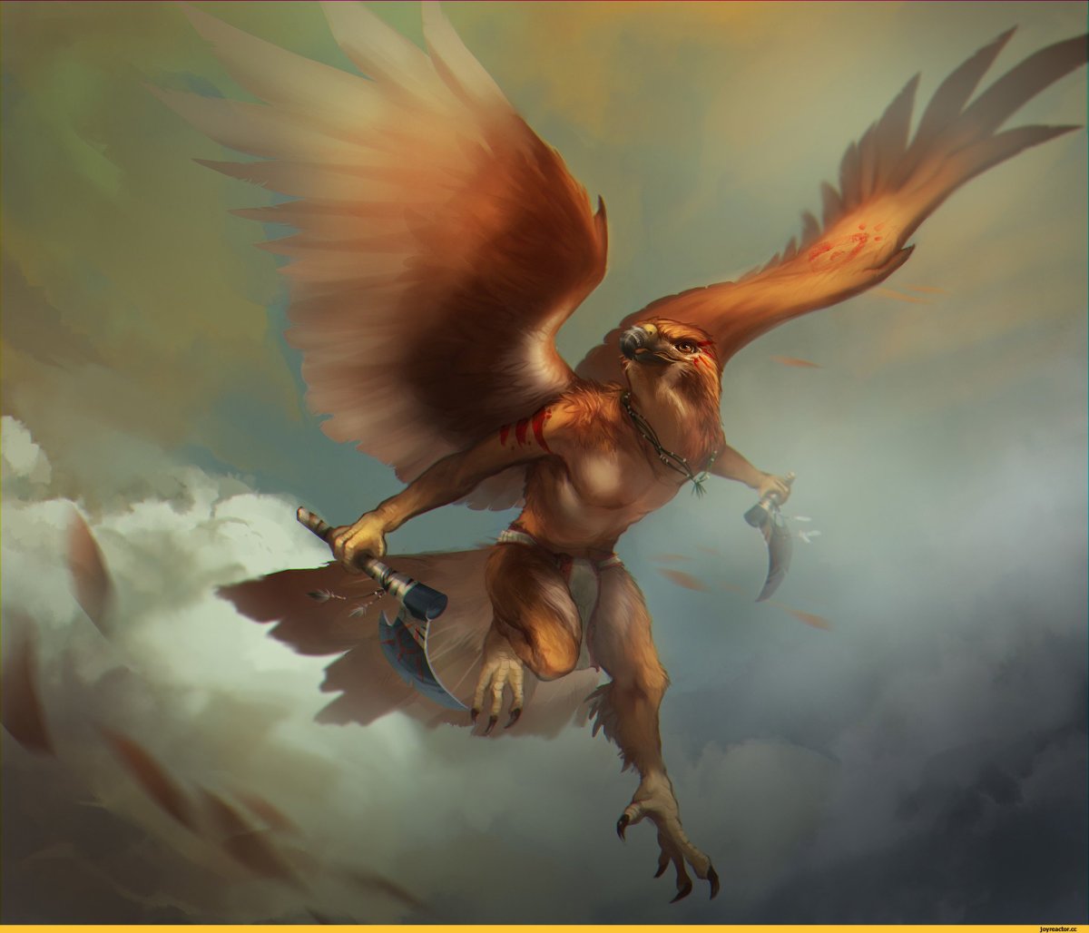 Гарпия Феникс