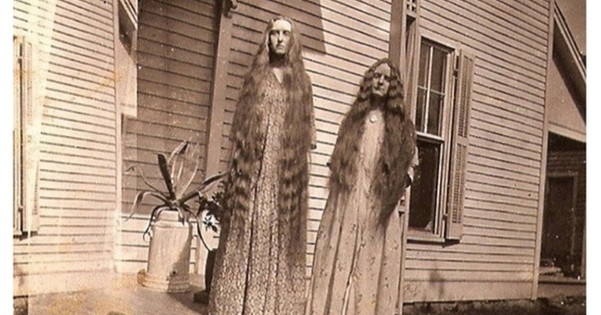 Гигантские собаки в жизни