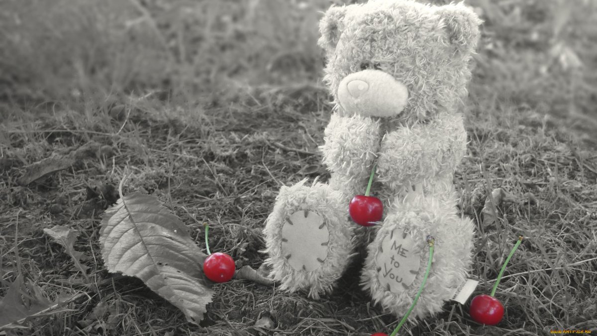 Мишки Марины Федотовой