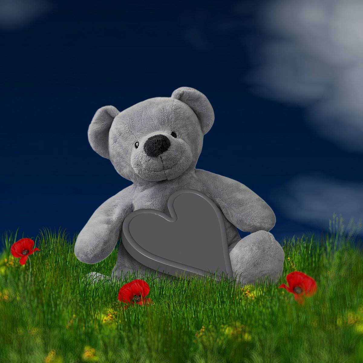 Живой мишка игрушка