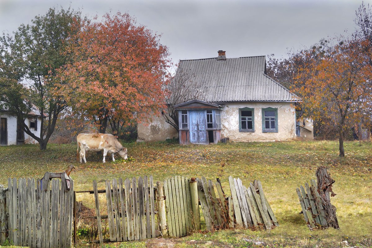 Русская деревня осень