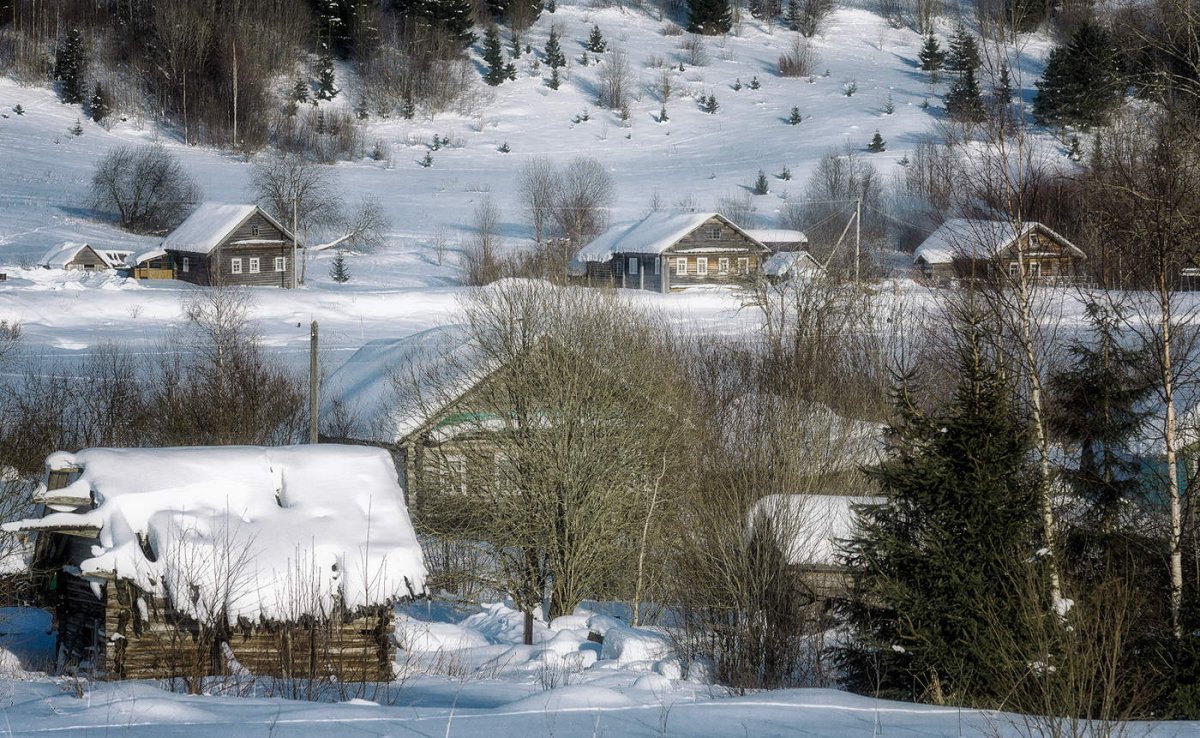 Деревня Кузнецово Вологодская область