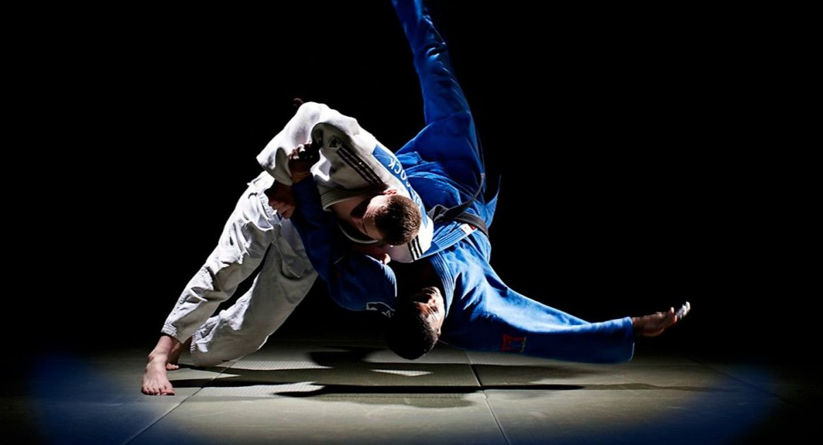 Красота дзюдо