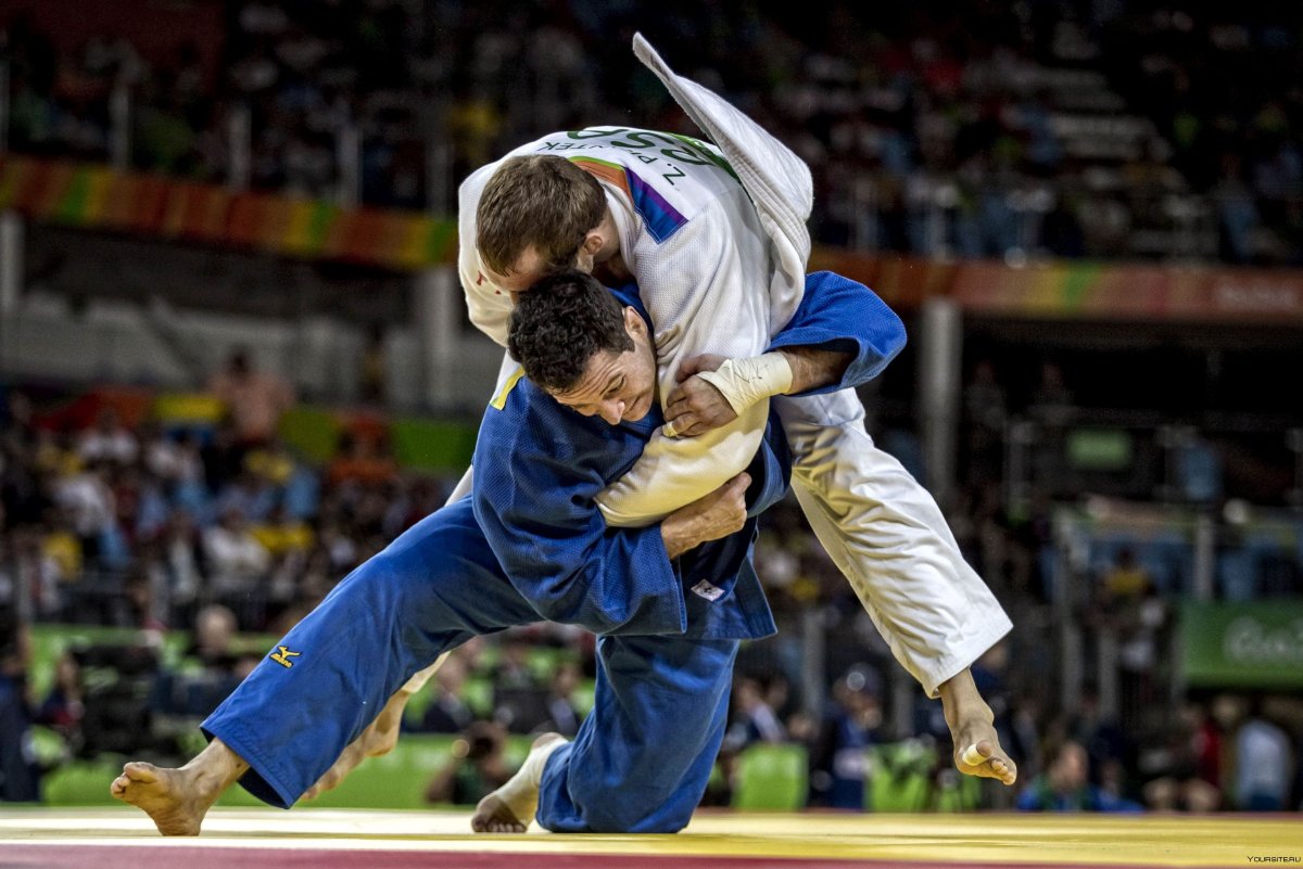 Боевые искусства джиу джитсу