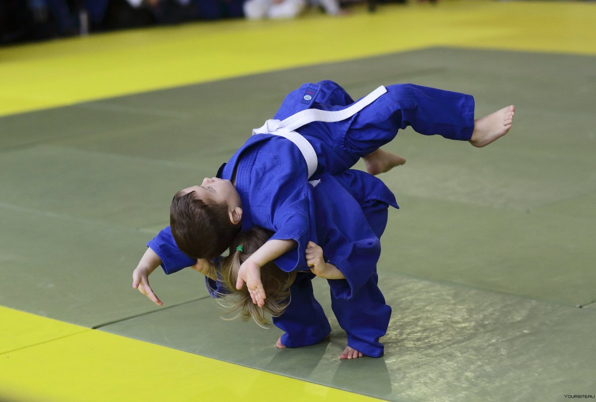 Трогательный путь дзюдо