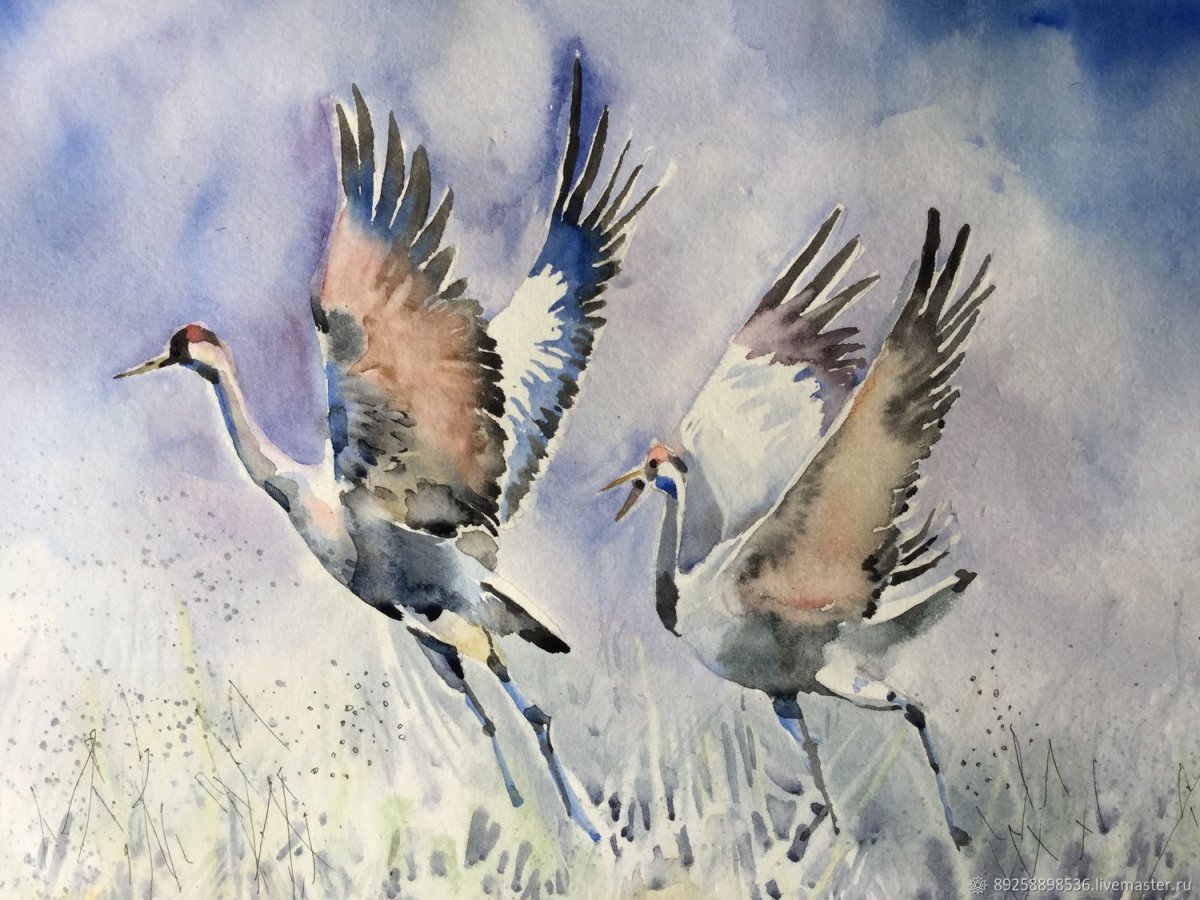 Журавли Фесенко